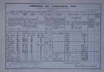 1911 census return for the Joyce family