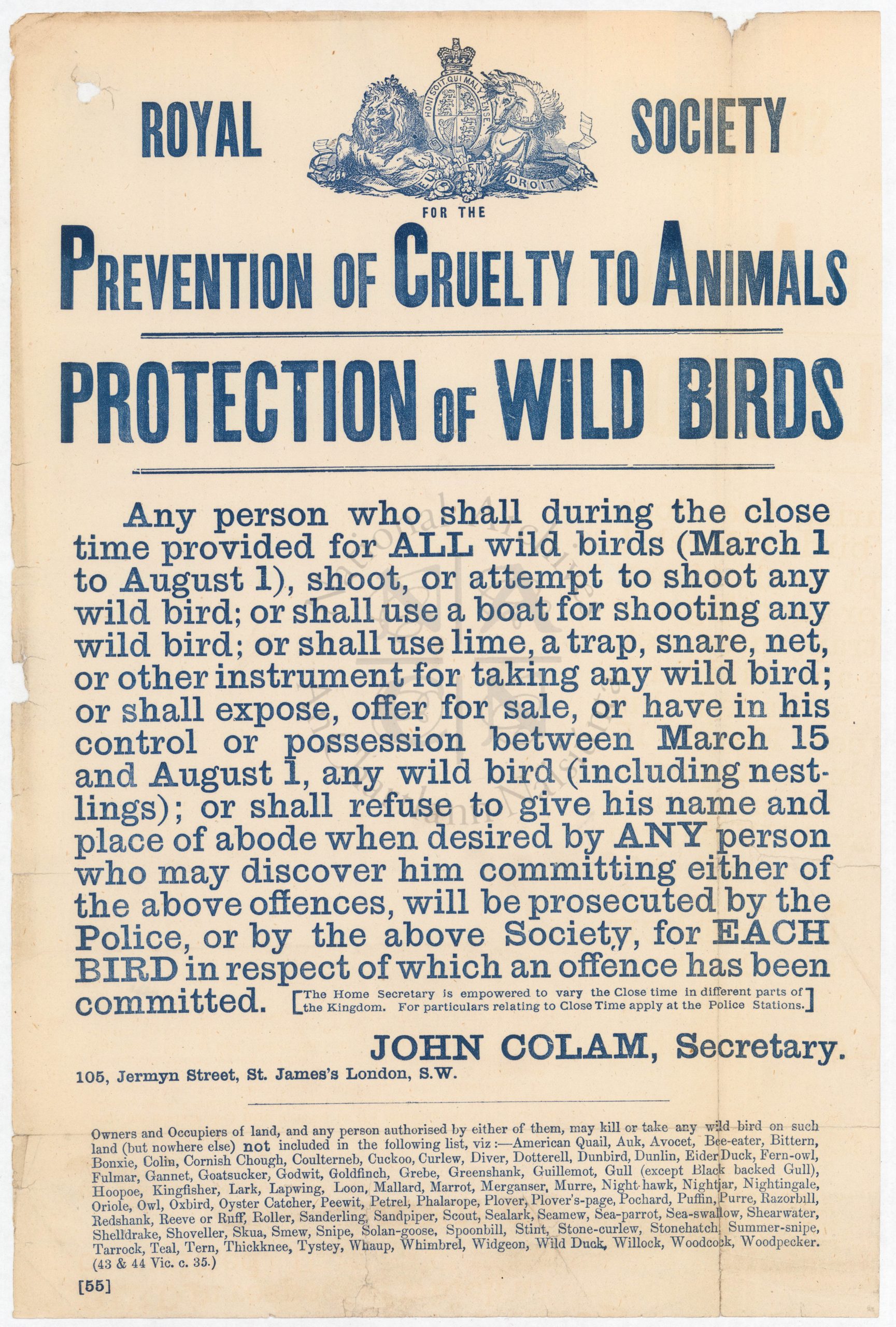 File in Focus: Protection of Wild Birds Acts – The National Archives of  Ireland